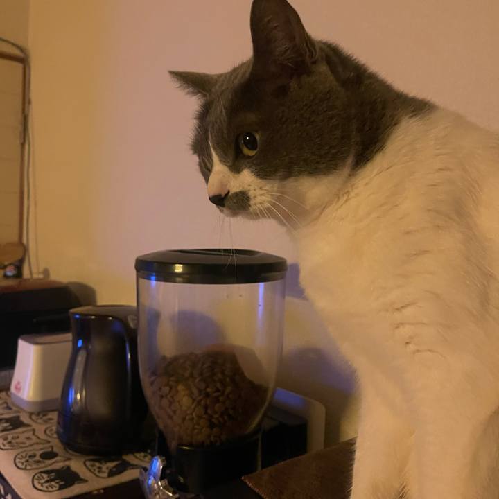 F939ad10 448c 4a6f ba32 46b8aeb5dea6 1739570785972