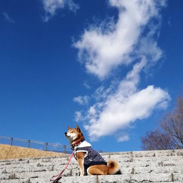 F939f3bd 5650 4aa2 8285 0074c01574f2 1644138154680