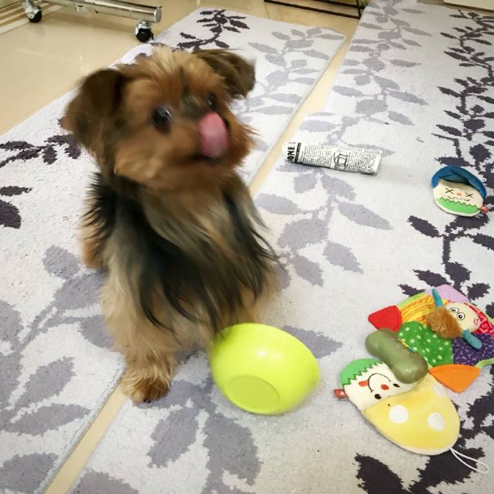 F93a2417 d45b 4dba a568 202692883b3f 1510049064385