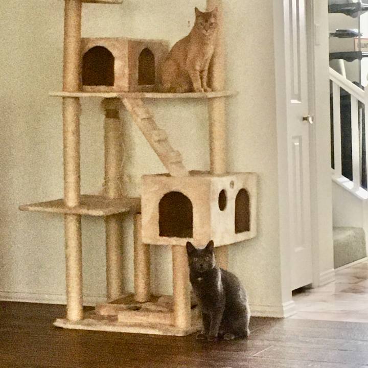 F93a3261 87f8 4bc0 8a5f 2707b8611922 1652404217833