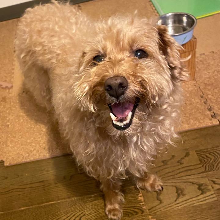 F93a3b55 c80a 4954 80a0 e99d103f11fb 1690455188815