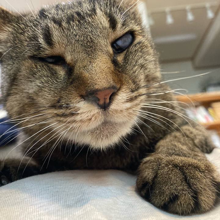 F93ab174 dc5d 4372 b9fe 4e5e0240ff47 1652620970363