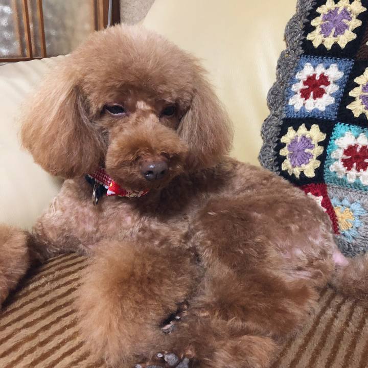 F93ac0f4 ca28 4baf 9b86 657aab550d9d 1547360513420