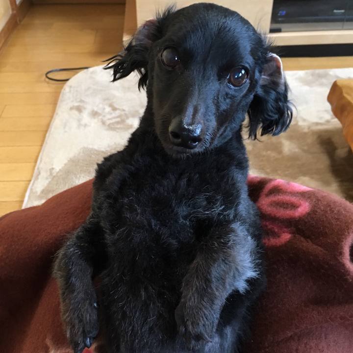 F93b005b 30ec 402d b8d2 d5310403da3f 1509489840150