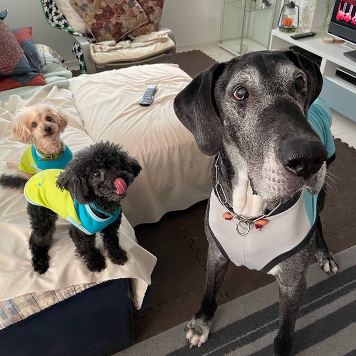 F93b0c77 4e32 4d52 9032 01fe6d9857c0 1653430500603