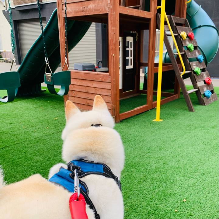 F93b1d4d 9b6d 4d01 89d1 83241d3be6b8 1661550296373