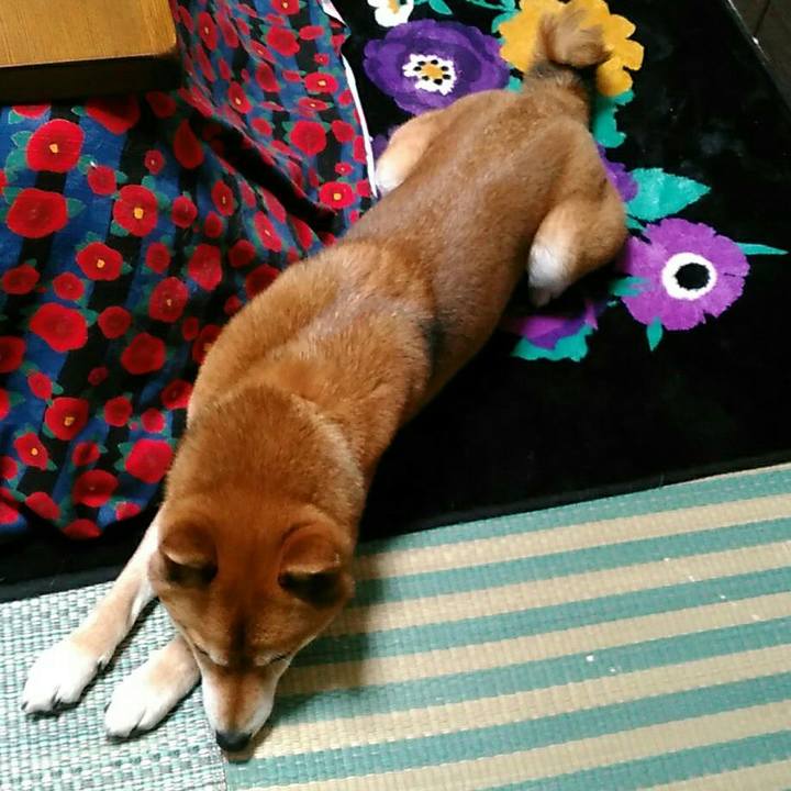 F93b29ca c623 46a2 a954 61a88cdd2d25 1552628496117