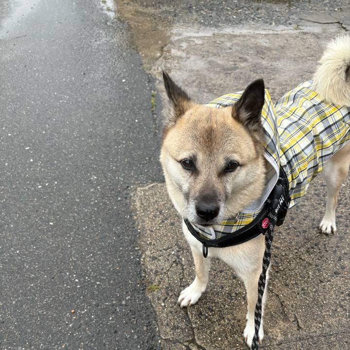 F93b39db 7f5f 451d bf46 15597d3a54c5 1749557853597