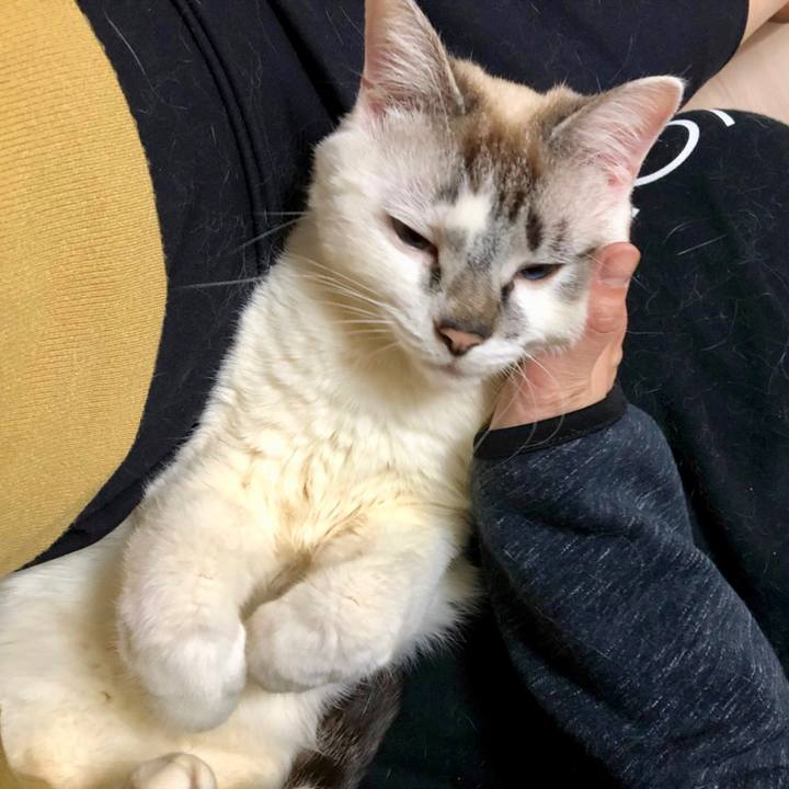 F93b5853 8521 4970 b643 ed351acc60da 1554638319826