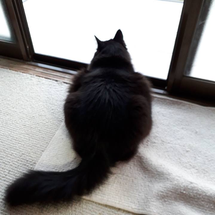 F93b9b97 f6e9 4b14 899b 6534ec360167 1521018113967