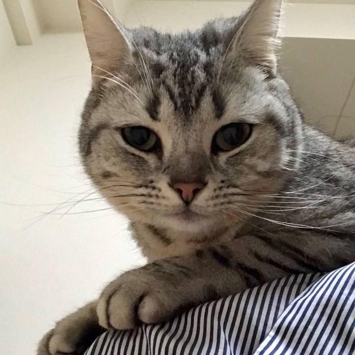 F93bece3 36db 4c5e abc4 61566a76b87d 1521708713947