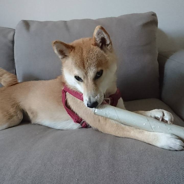 F93bfc97 1335 40e7 8374 3e1aed708fdc 1522543995987