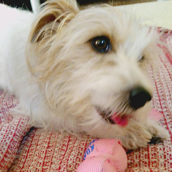 F93c039d 8e55 4e96 a662 e19f028a1ce7 1521262146849