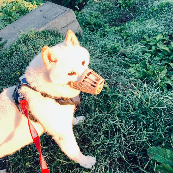 F93c1a00 f6e0 4841 9248 5c74afe15a67 1632692227531