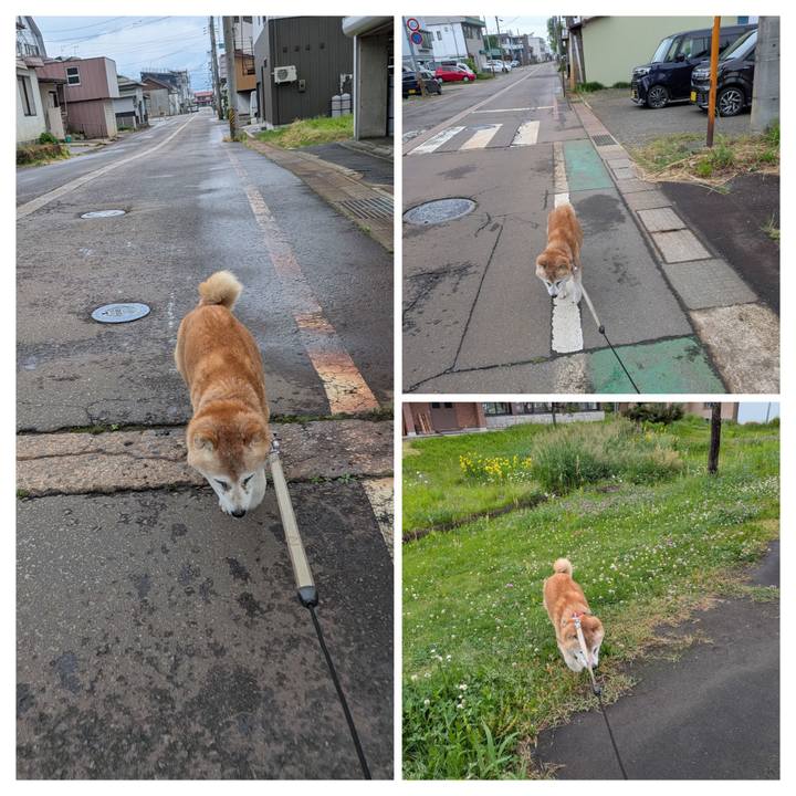 F93c1ee5 d2f7 4b1d a48f e410a18fe15f 1779349805614