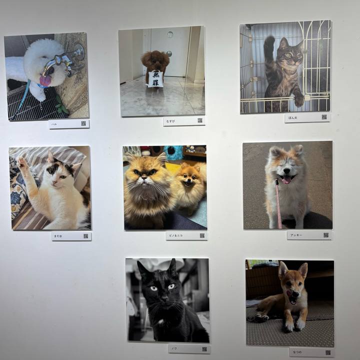 F93c227d 2232 4e9c bb33 0970d72707c4 1762075656892