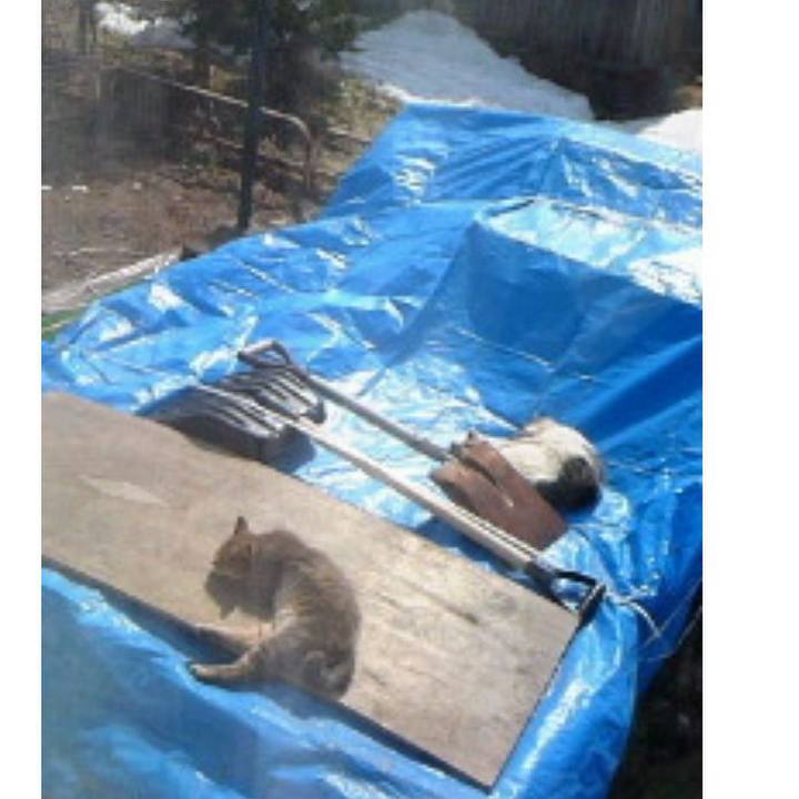 F93c282c 181d 4686 974f a1ee138709c0 1550666707751