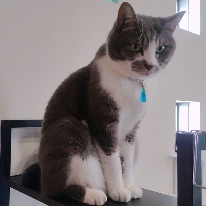 F93c3dfe 77e0 4aec b15d ef30dd726ad1 1723116907582