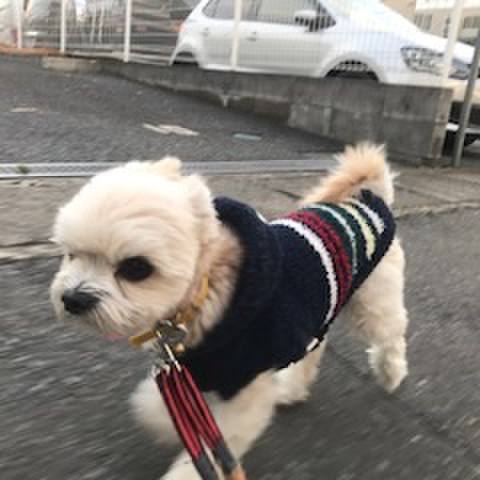 F93c8423 f95c 4ce0 a334 2565cbdba44a 1513339982651