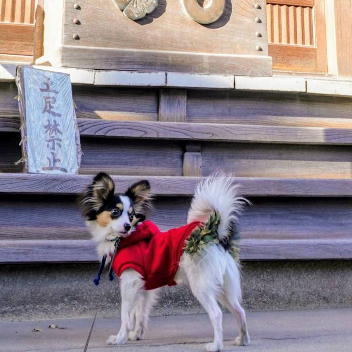 F93cab4d 30b8 4173 99a3 2be7c963d03d 1613046380912