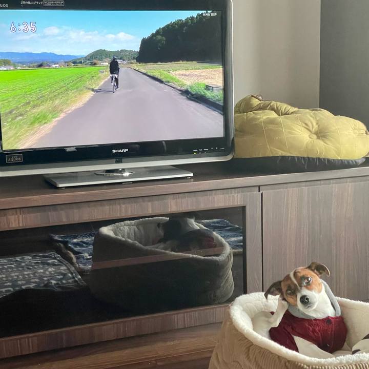 F93cf4ea 4fca 4bf5 83f7 fb1ceb6ec875 1645998133799