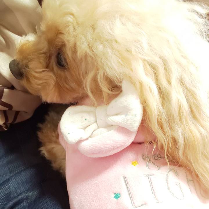 F93d00de a402 4761 b617 203b5ef1fe4d 1576065622110