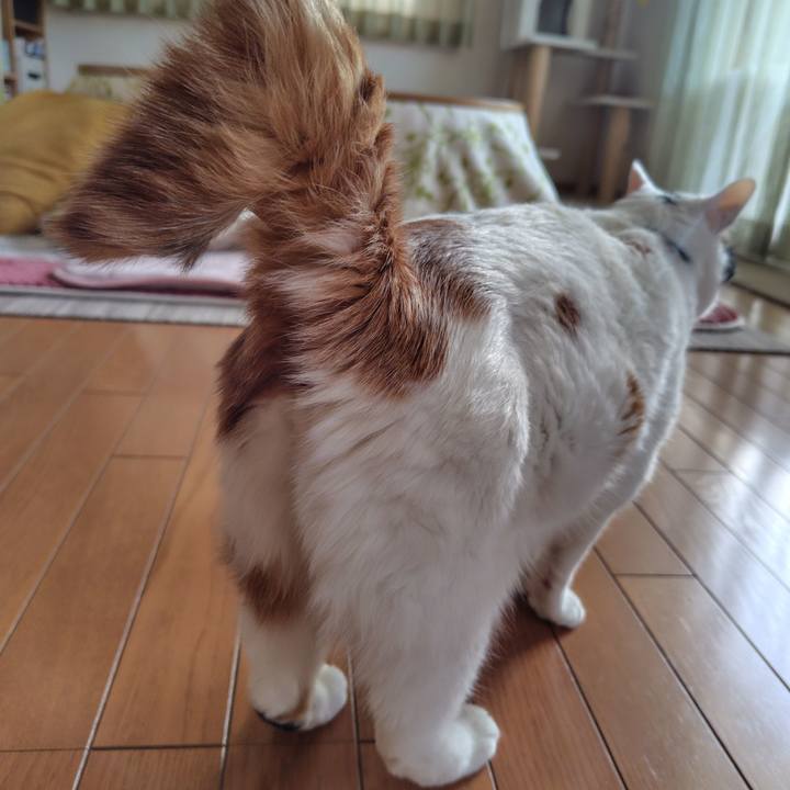 F93d0299 9165 44b8 afab d30cef4fefb2 1733873778265