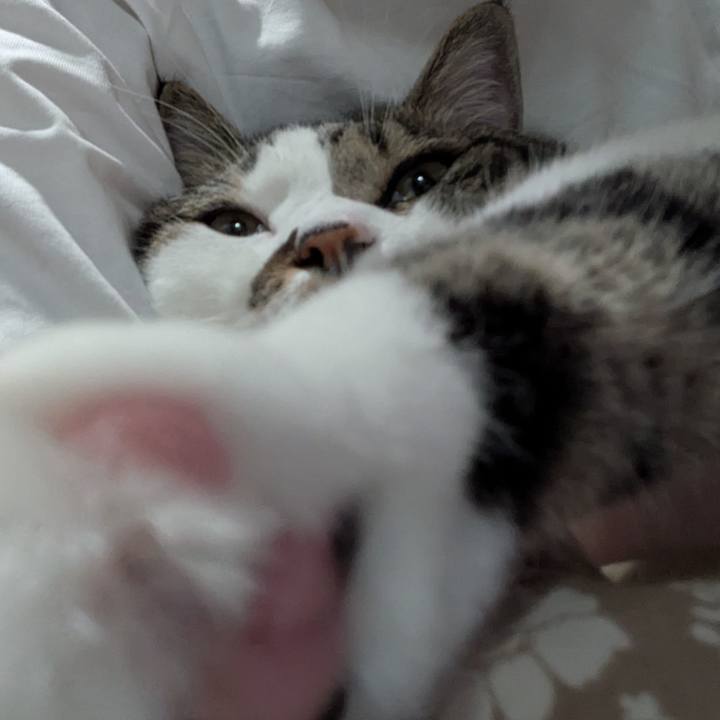 F93d0604 5b96 472b ac02 84ceb402503d 1752962120245