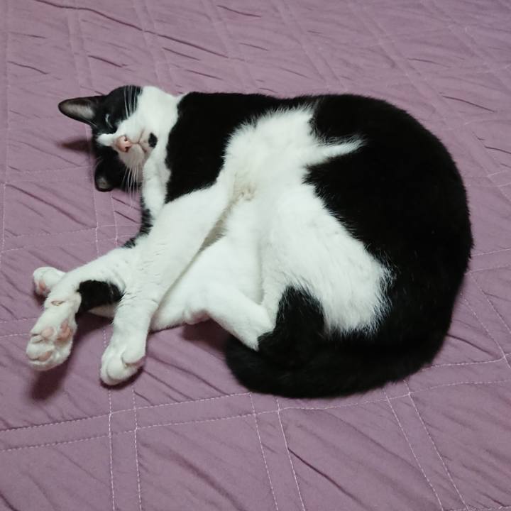 F93d0992 b882 43ee 9f59 e44d2dc678dc 1616804096389