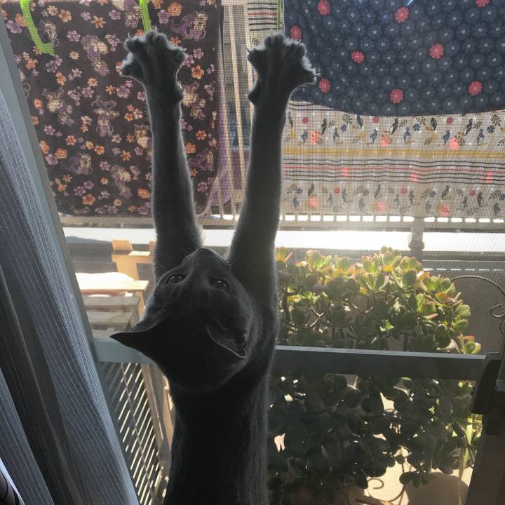 F93d23c9 ffa5 468c a76d 10844922d534 1521284313096