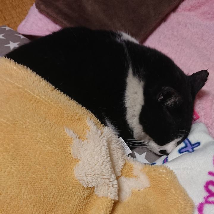 F93d2d5f 87e6 4ad2 b9dd 9a364faf99d1 1585140397402