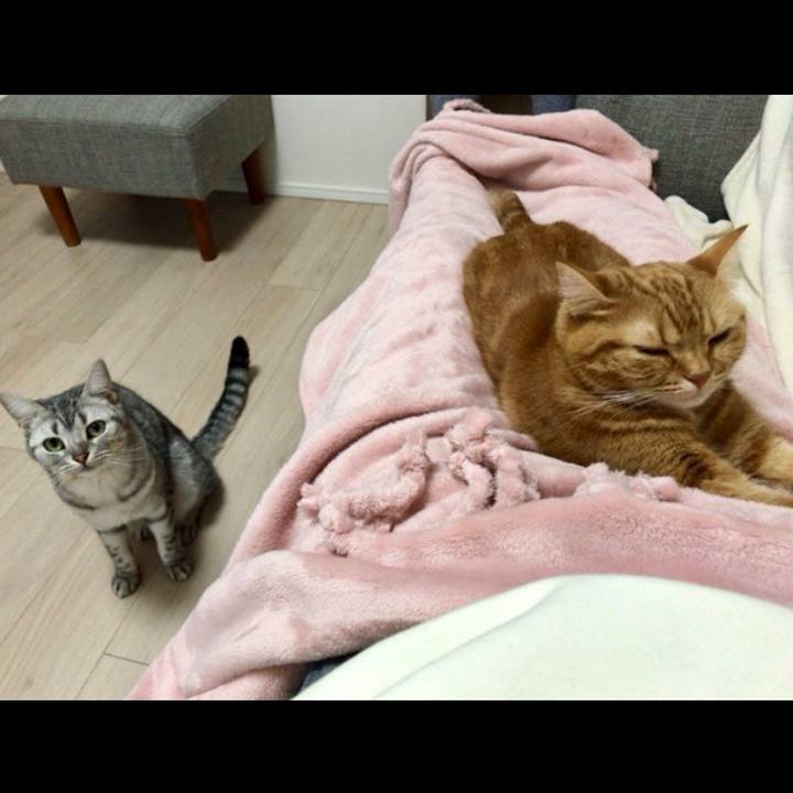 F93d35bf 3872 4de7 824d a95a13712f24 1546214139836