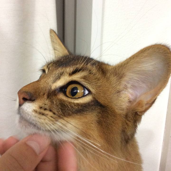 F93d8470 dc78 47de b673 867e1a49b945 1582976800168