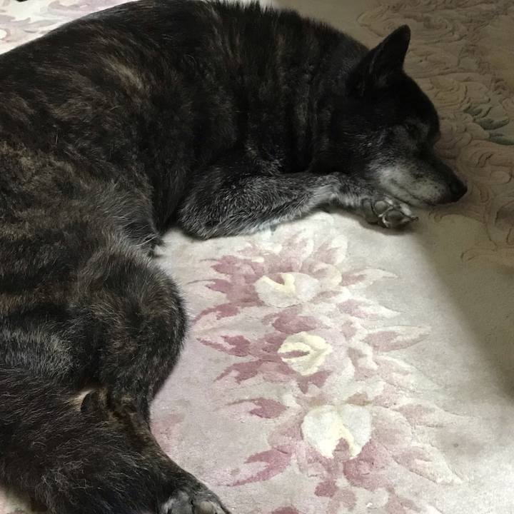 F93db5ba 561f 429b 8192 2997319b5ea0 1572073519200