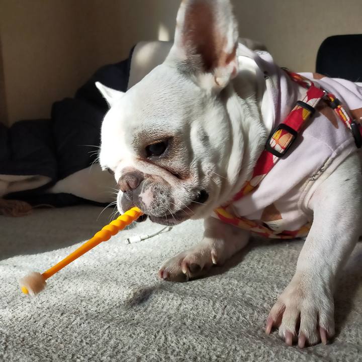 F93db97e 96d0 4412 9999 e21b758682e6 1637195959896