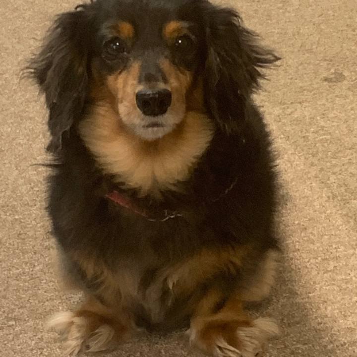 F93ddcab 2bca 438e b3a4 dc4869678433 1569192665117