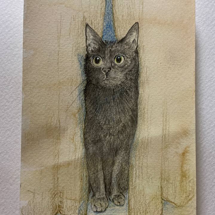 F93e0161 6300 4de7 a793 6c54709534e8 1683461067444