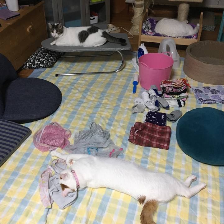 F93e7985 1fd9 4cb9 8cec 5d5e8867e3f2 1531841161464