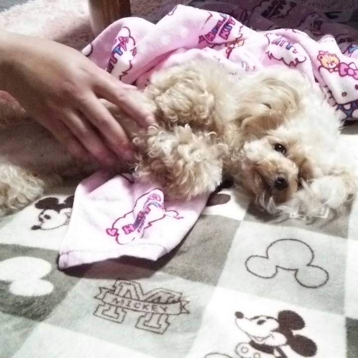 F93e90ca acb3 451e a64e a1ae744c64ac 1557493926885