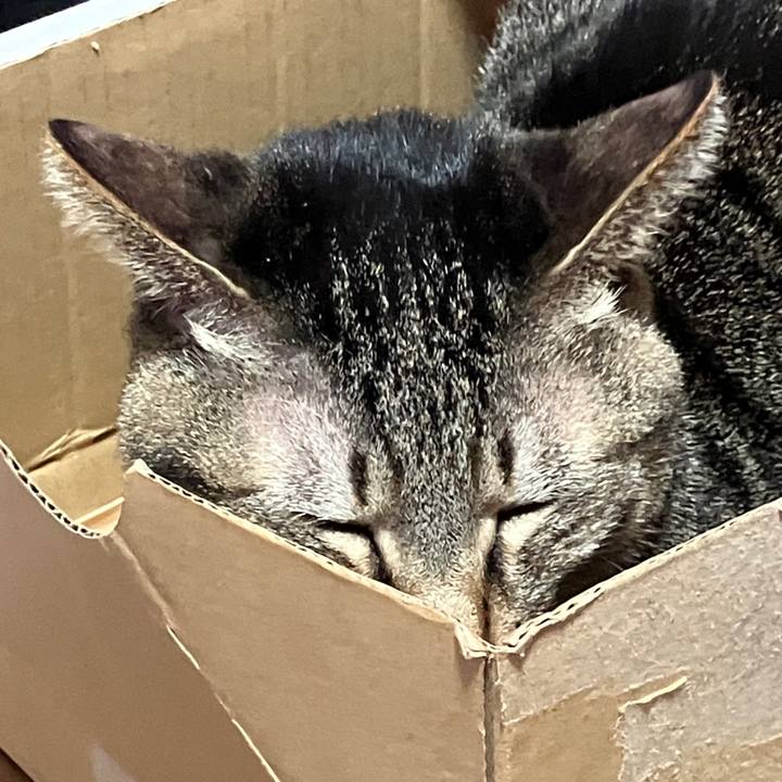 F93e9d03 40a9 40c4 8e22 50b4d5f9a52f 1769948780859