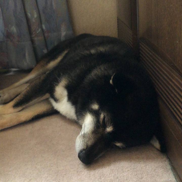 F93eb680 f509 43a7 b6f7 2e88d9d756a3 1595548031033