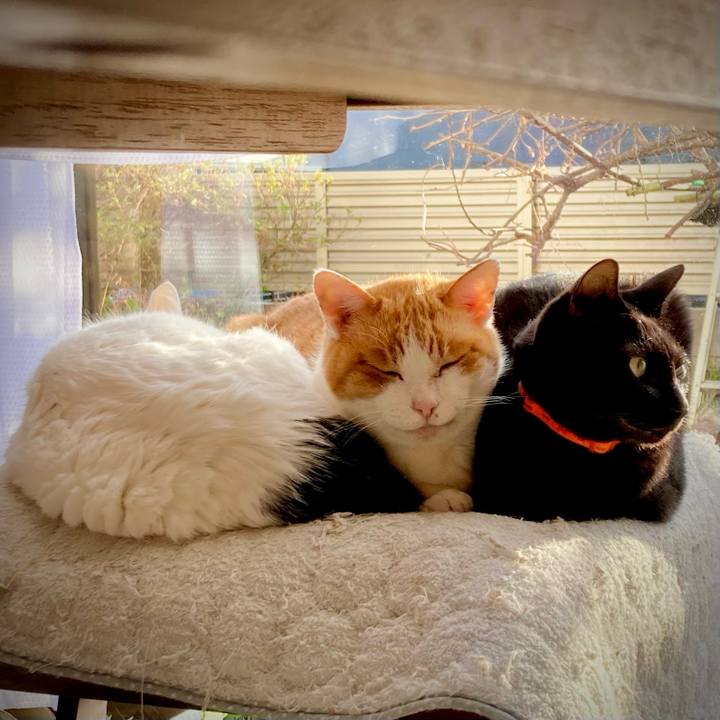 F93eb6f3 6025 4a0a 9c6d 1bd10541efce 1704867662533