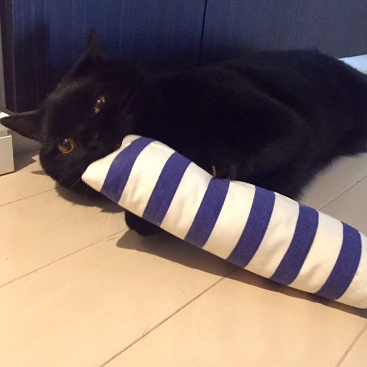 F93ec3e1 1c9f 4730 a738 ab2997d8e32b 1559225255227