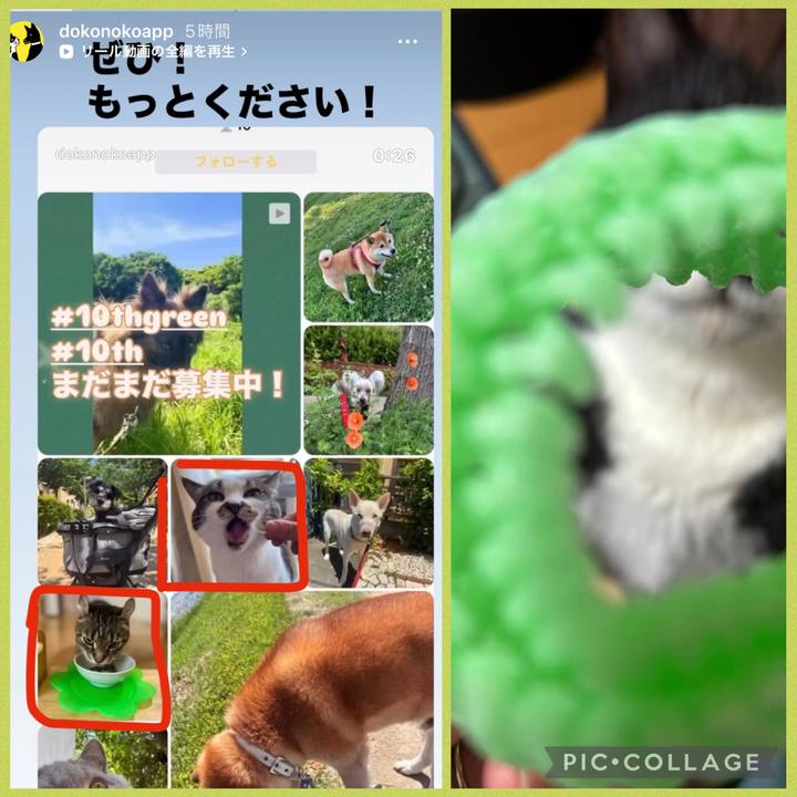 F93edd81 b51a 43c3 ad8c 7de2064cb562 1778503334088