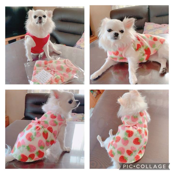 F93f4313 0f49 4864 918f ce4053b982f4 1700698655818