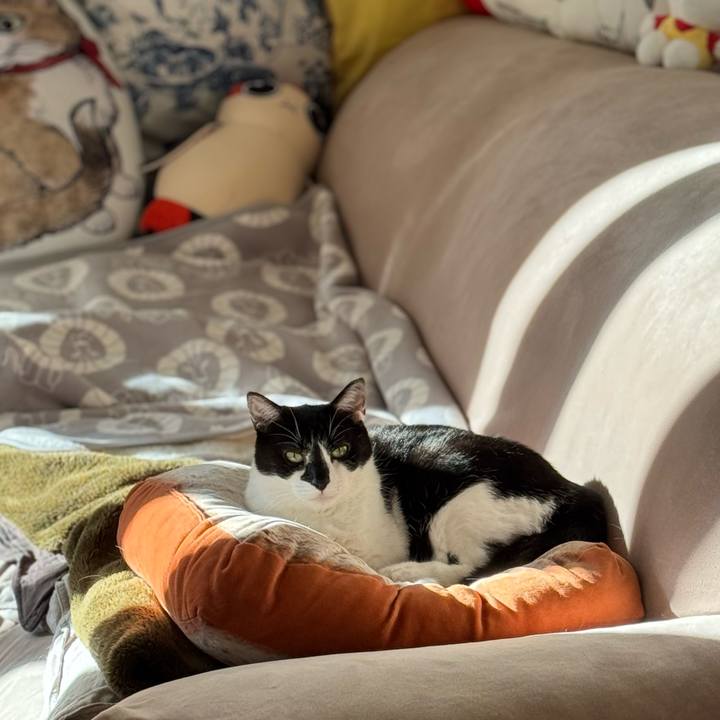 F93f7164 0cc5 45a3 86a0 f39f489561da 1764980681669