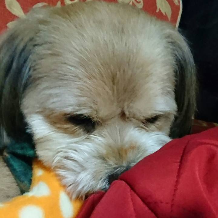 F93f748a 16af 4a10 ba41 919ea1bc6f5f 1515102889985