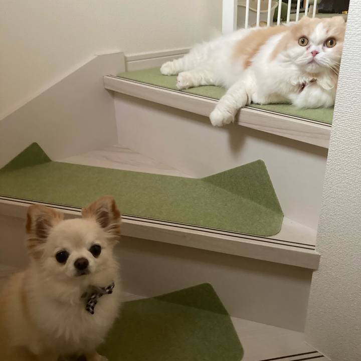 F93f8a68 9c65 428f 92a1 19c5e24e9421 1651840339294