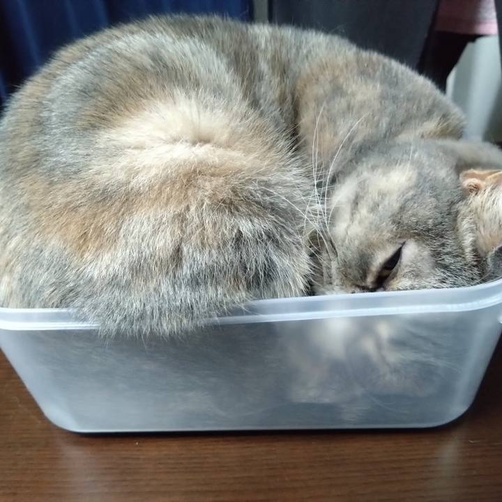 F93f91cd 2ce5 4a24 a81b 0fcbd1e94ea3 1762778010001