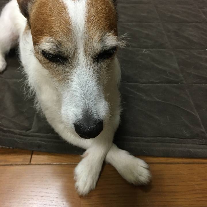 F93f998e f729 4f06 9af2 7288e93d052a 1625877215580